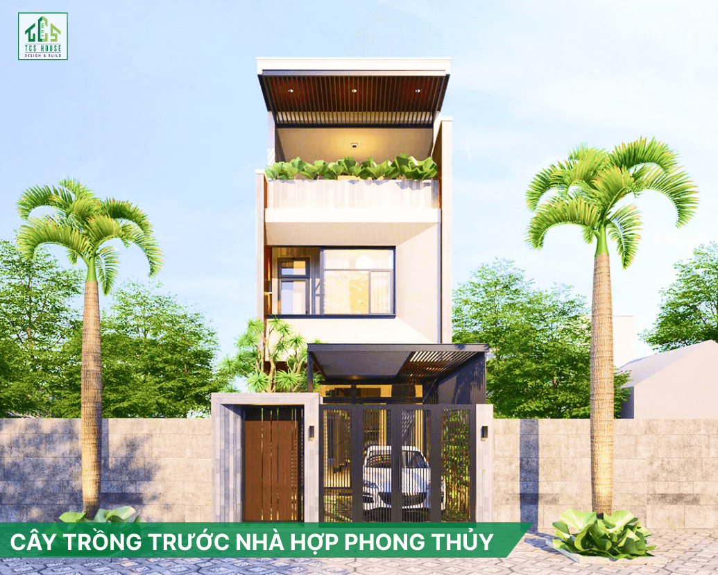 15 Cây Trồng Trước Nhà Hợp Phong Thủy Mang Tài Lộc