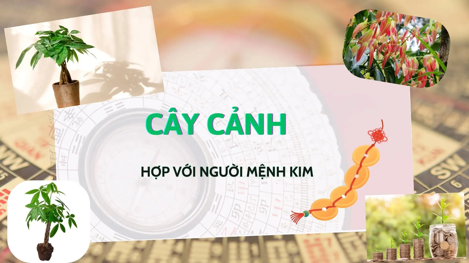Tổng Hợp Lưu Ý Phong Thuy Xây Nhà Của Người Mệnh Kim